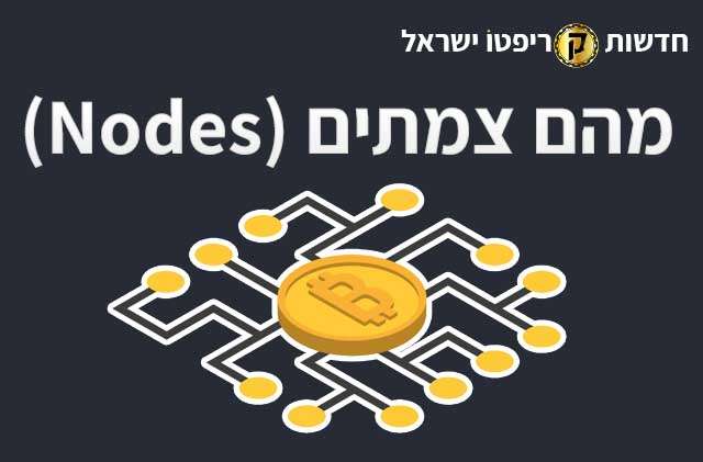 מהם צמתים (Nodes)